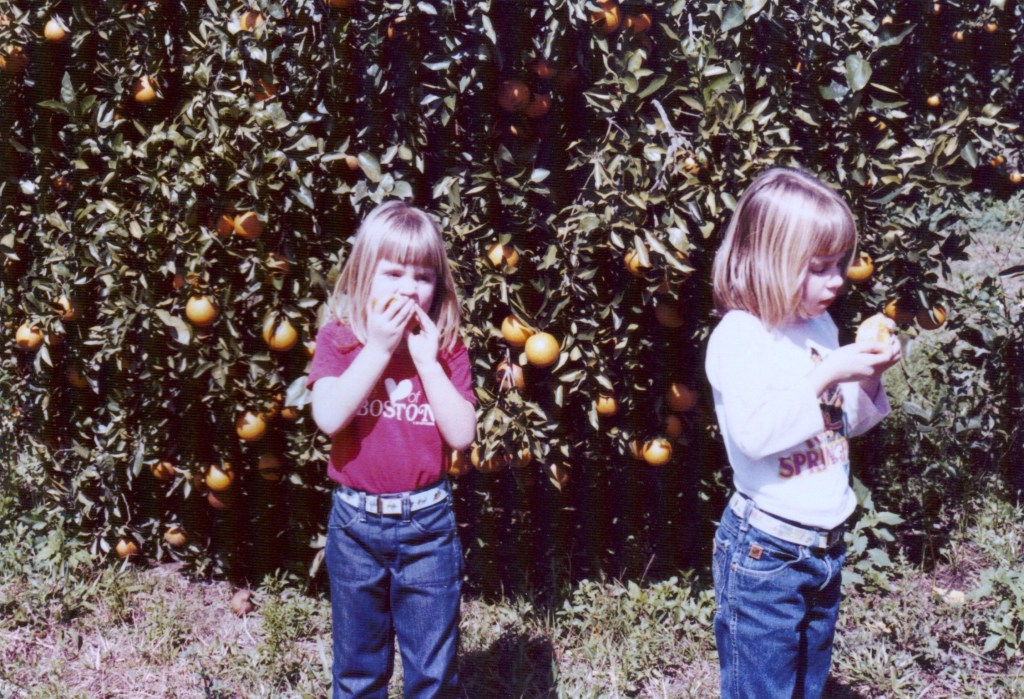 What three objects do I need to survive this world?